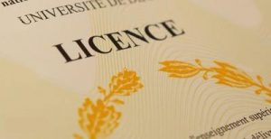 Read more about the article Licence Professionnelle Universitaire  en Management des Organisations à l&rsquo;Ère du Digital